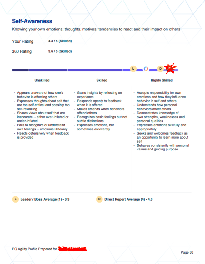 360 PDF Report Sample-Categories
